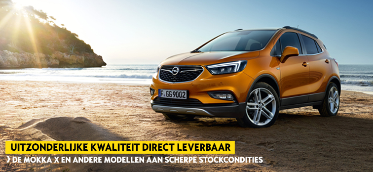 Opel MOKKA X